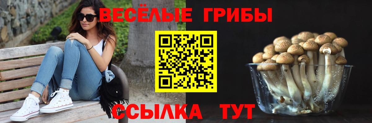 Родники  где найти   Вход с VPN  Псилоцибиновые грибы мицелий 